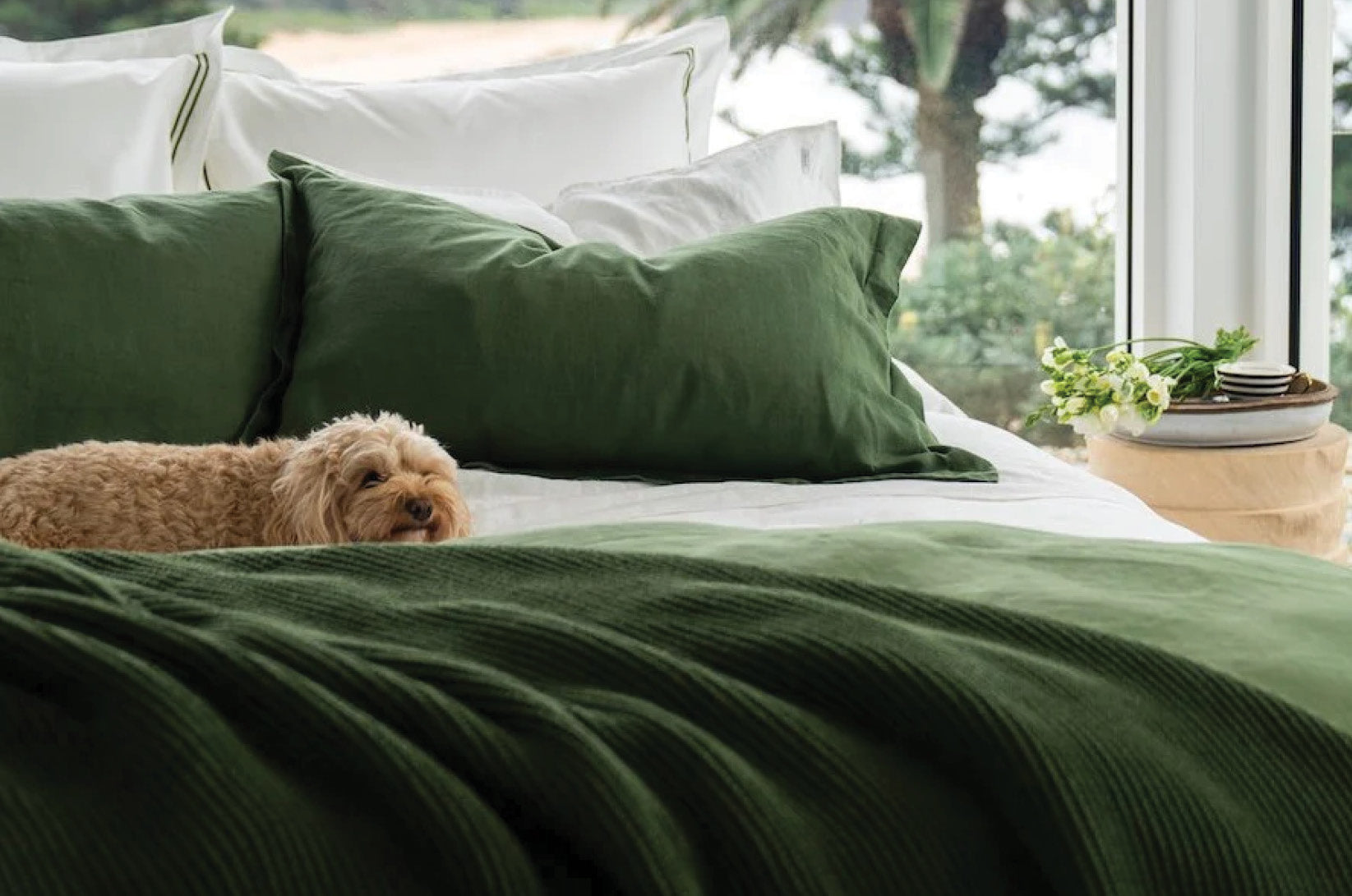 Discover ecoLinen's best-selling GOTS certified organic cotton bedding and luxury resort linens. Immerse yourself in luxurious comfort while embracing sustainability with our ethically crafted linens, pillows, and towels.