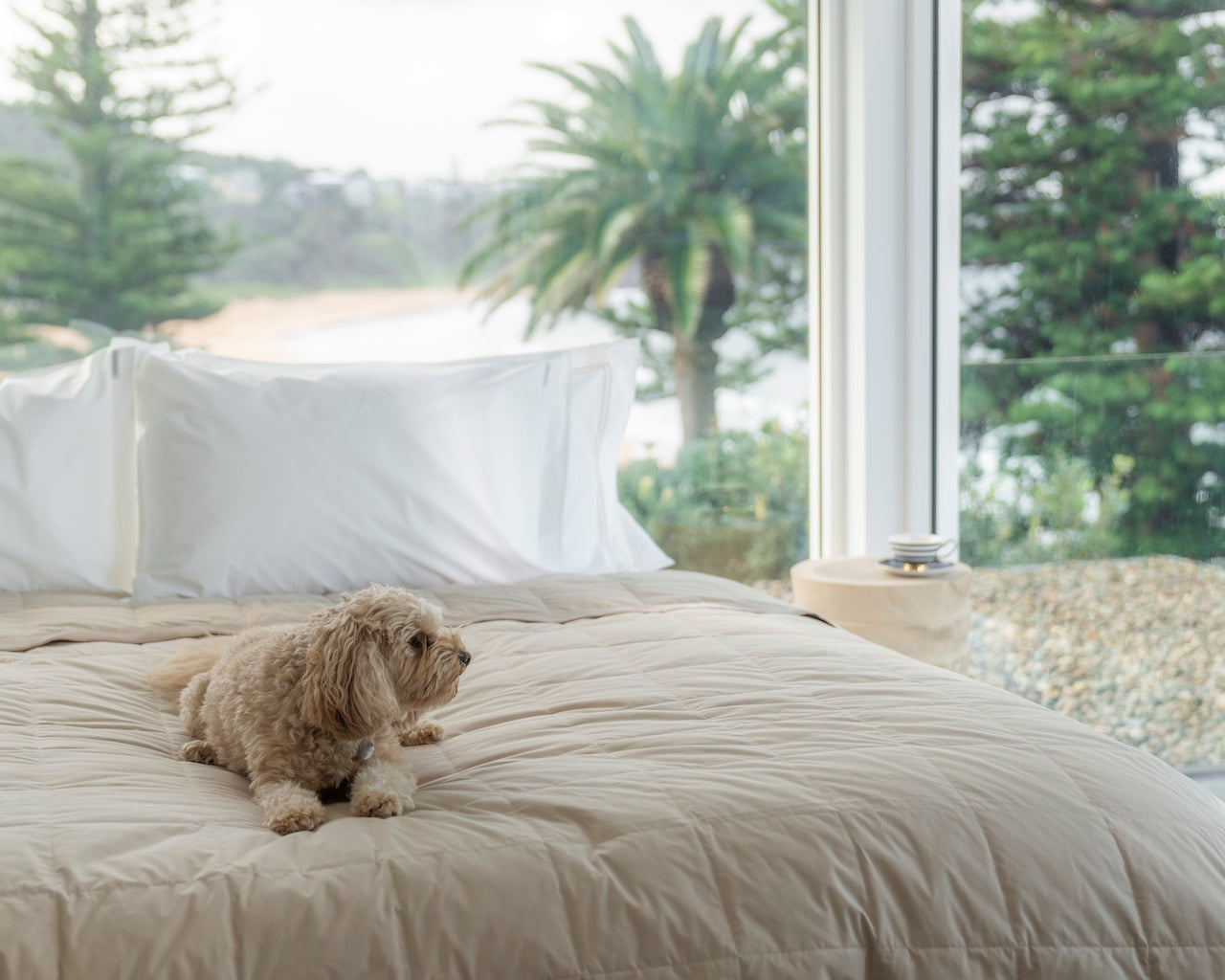 ecoLinen fnd blanket gold and ronnie lounging