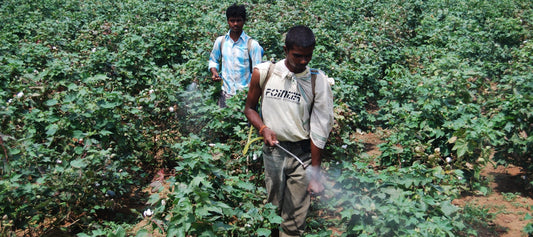 What Are Non-Toxic Bed Sheets? (And Why It Matters)